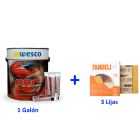 Combo Masilla PRO7 Lijas Fandelli