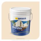 PINTURA DURATEX BEIGE CANECA WESCO