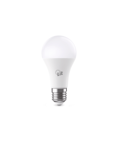 Foco LED Globo A60 15W