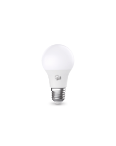 Foco LED Globo A60 9W