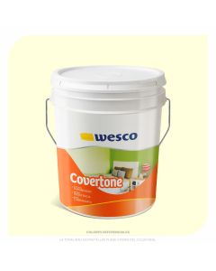 PINTURA COVERTONE BLANCO HUESO CANECA WESCO