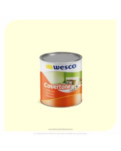 Pintua Covertone Blanco Hueso Litro