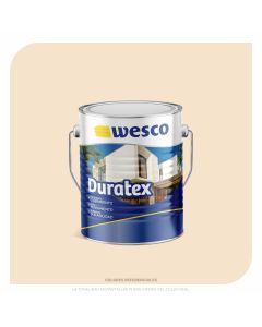 PINTURA DURATEX BEIGE GALON WESCO
