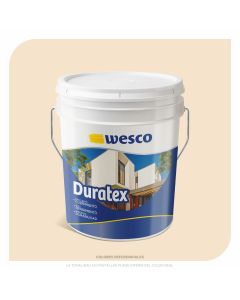 PINTURA DURATEX BEIGE CANECA WESCO