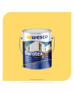 PINTURA DURATEX RAYO DE SOL GALON WESCO