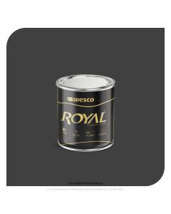 Pintura Royal Negro Litro