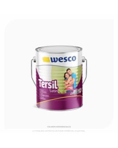 Pintura para paredes Tersil Satinado